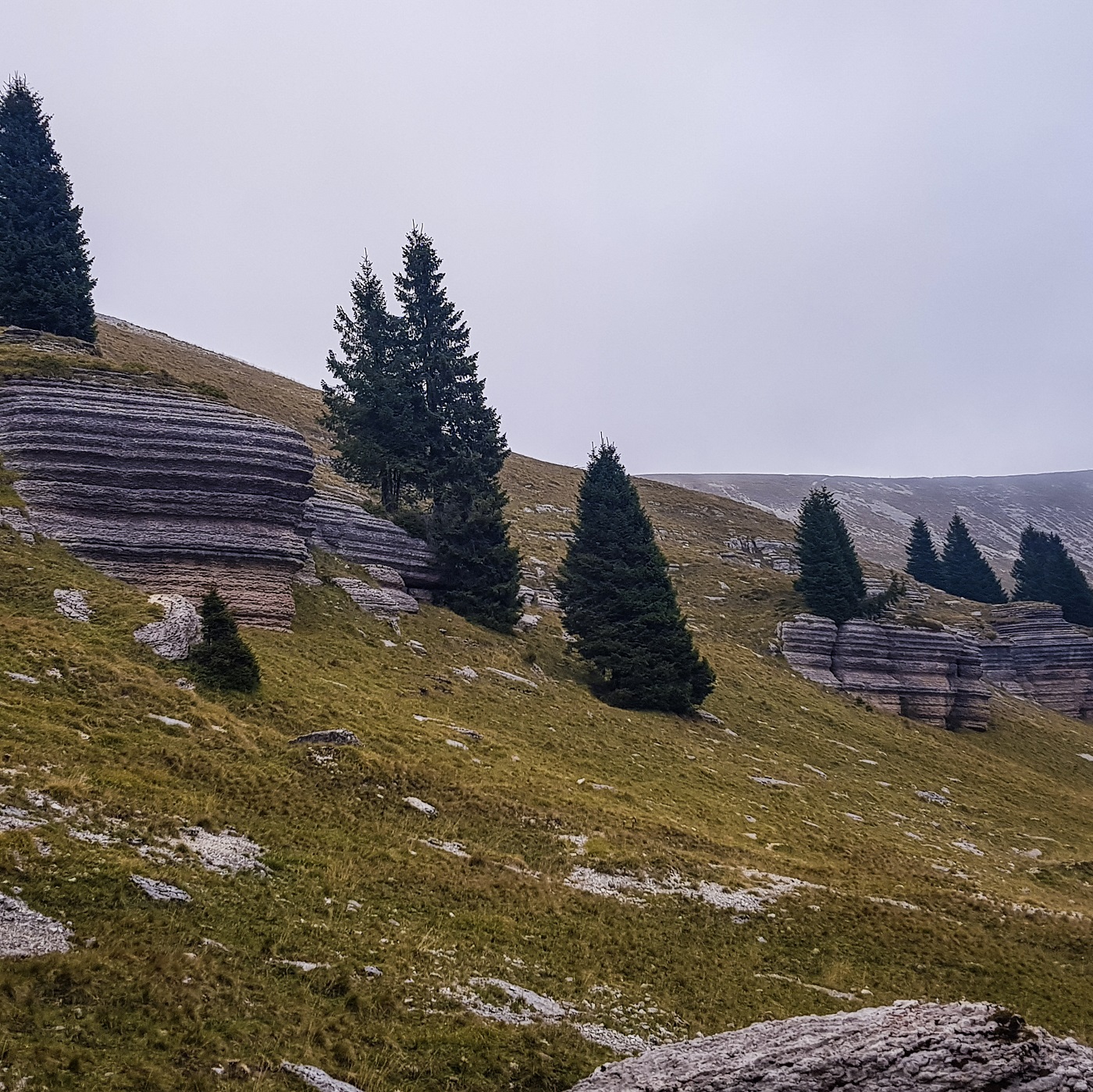 formazioni rocciose