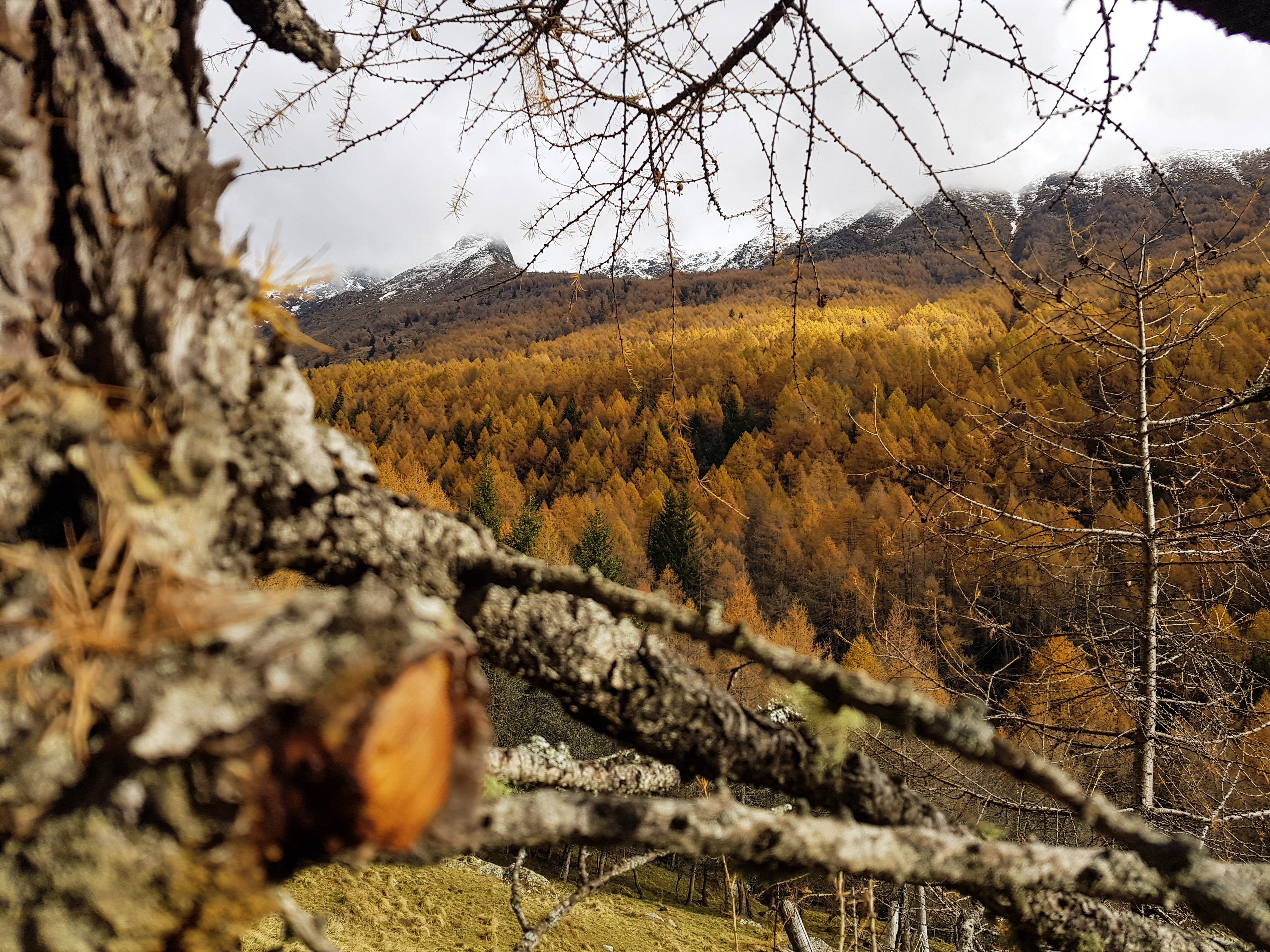 Valle Camonica