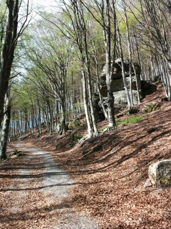 Carrareccia sentiero di Rigale