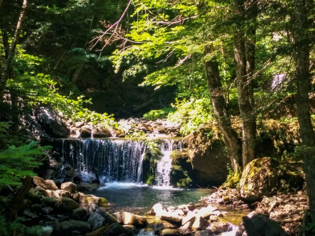 boschi e cascate