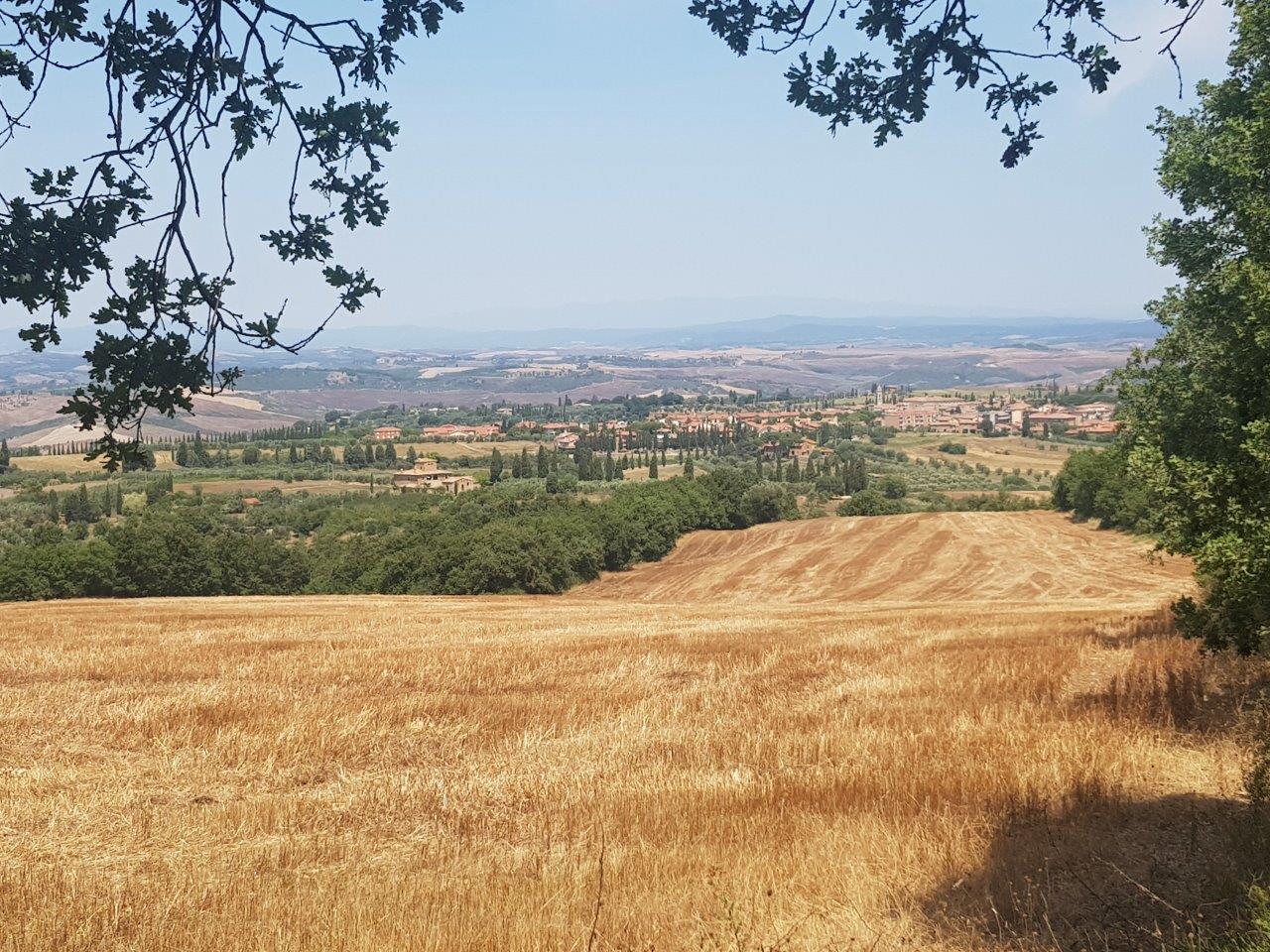 paesaggio verso San Quirico D'Orcia