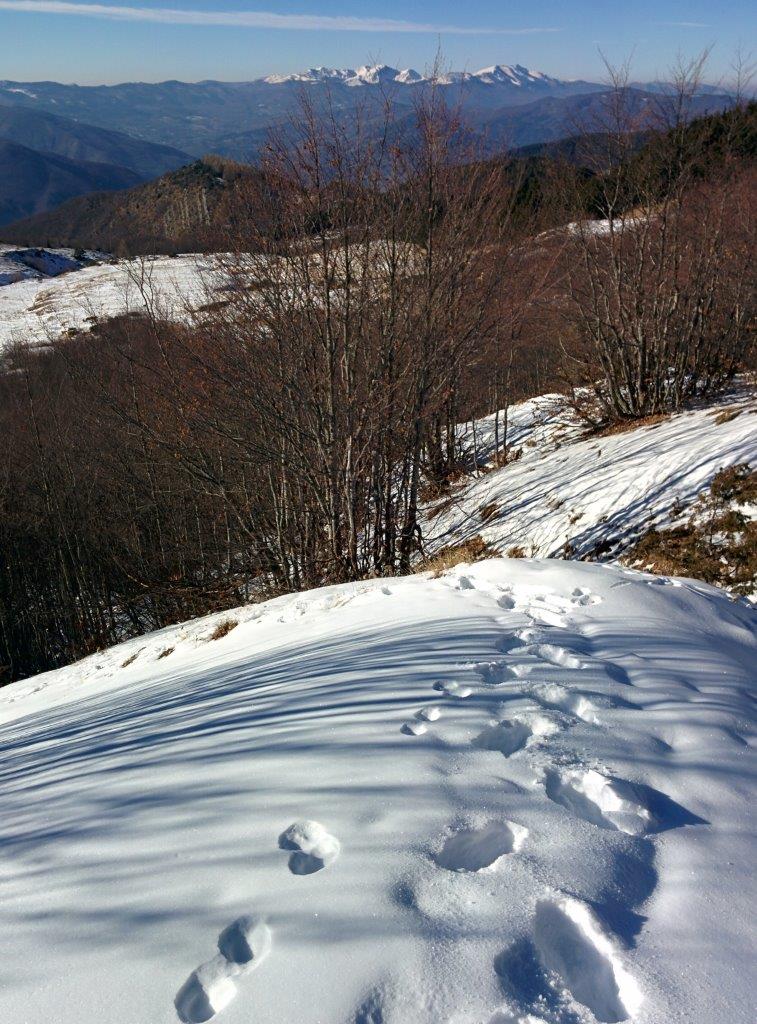 neve e passi