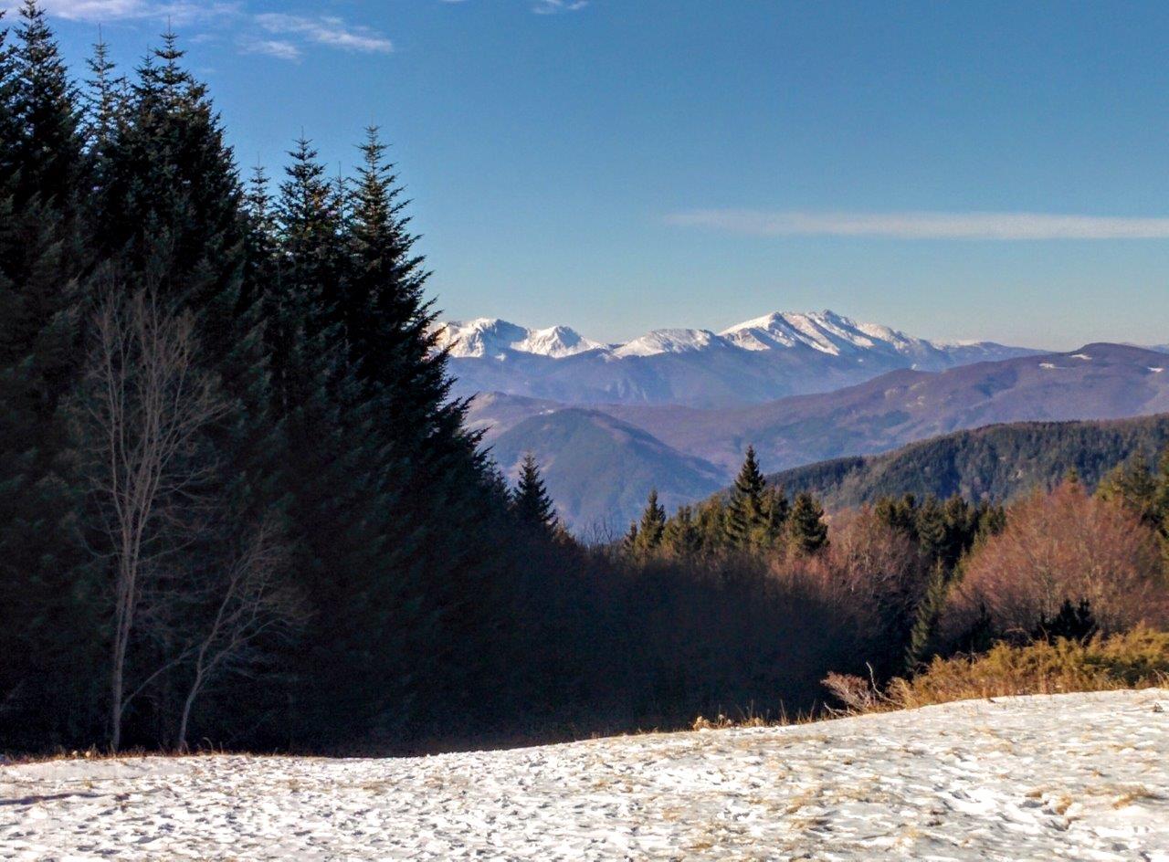 Vista sentieri cimone