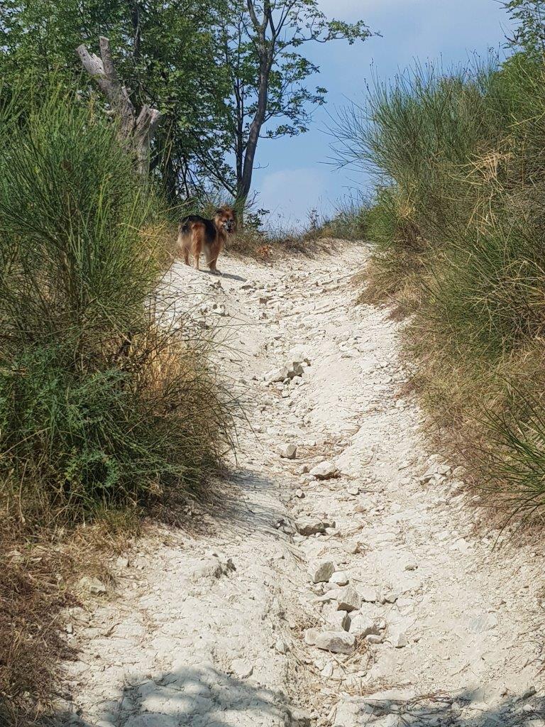 sentiero parco talon con sante