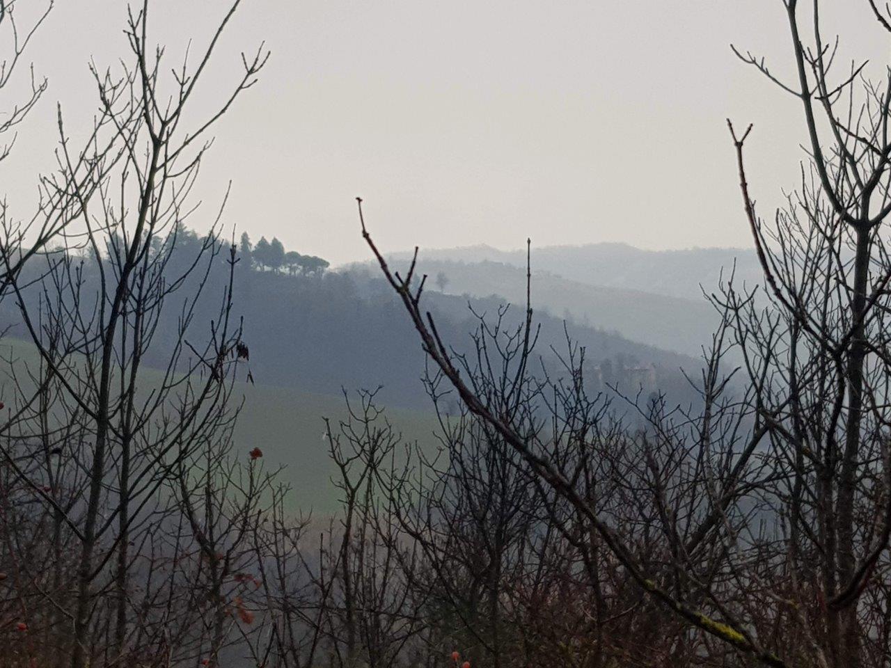 vista sulle colline dal parco talon