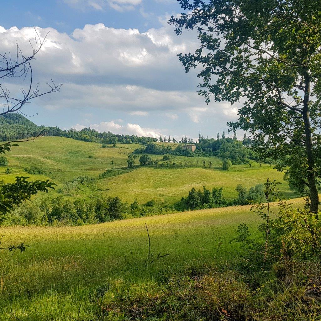 Panorama sentiero n1 l'uomo che verrà monte san pietro