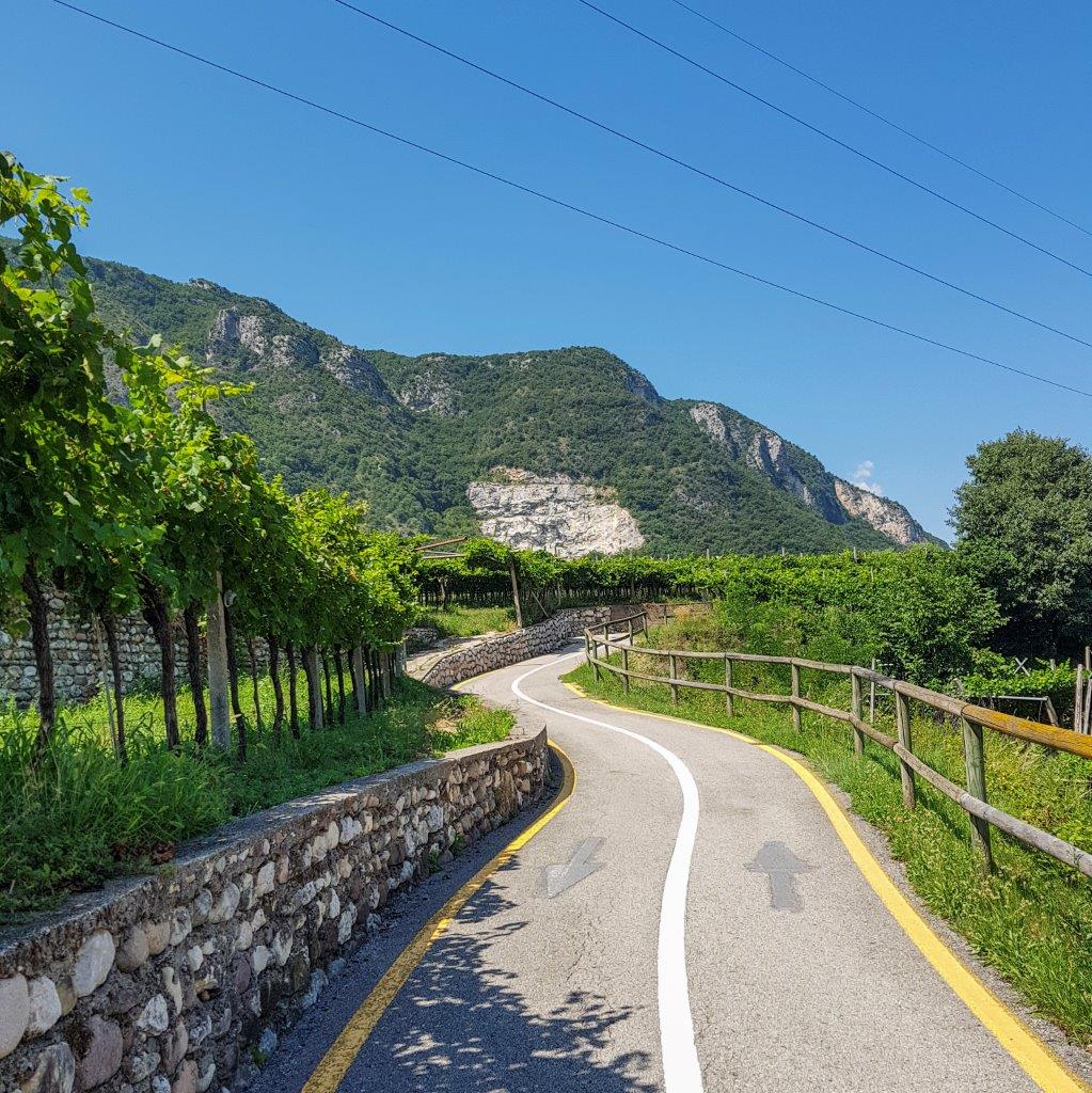 Pista ciclabile da Peschiera del Garda a Trento in mezzo ai vigneti