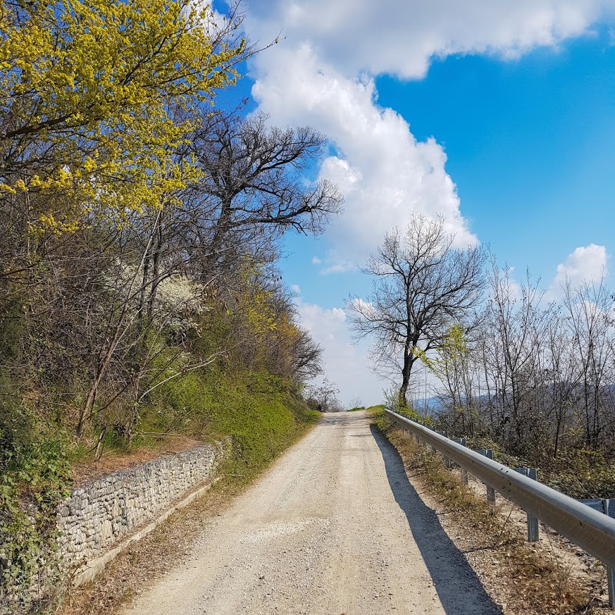 trail run sentieri colli bolognesi