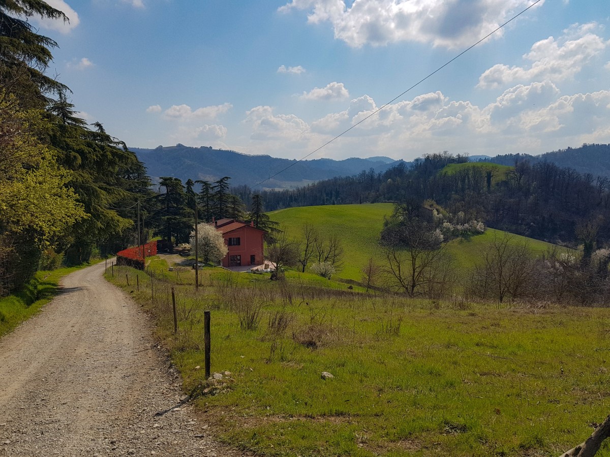 trail run colli bolognesi discesa panorama
