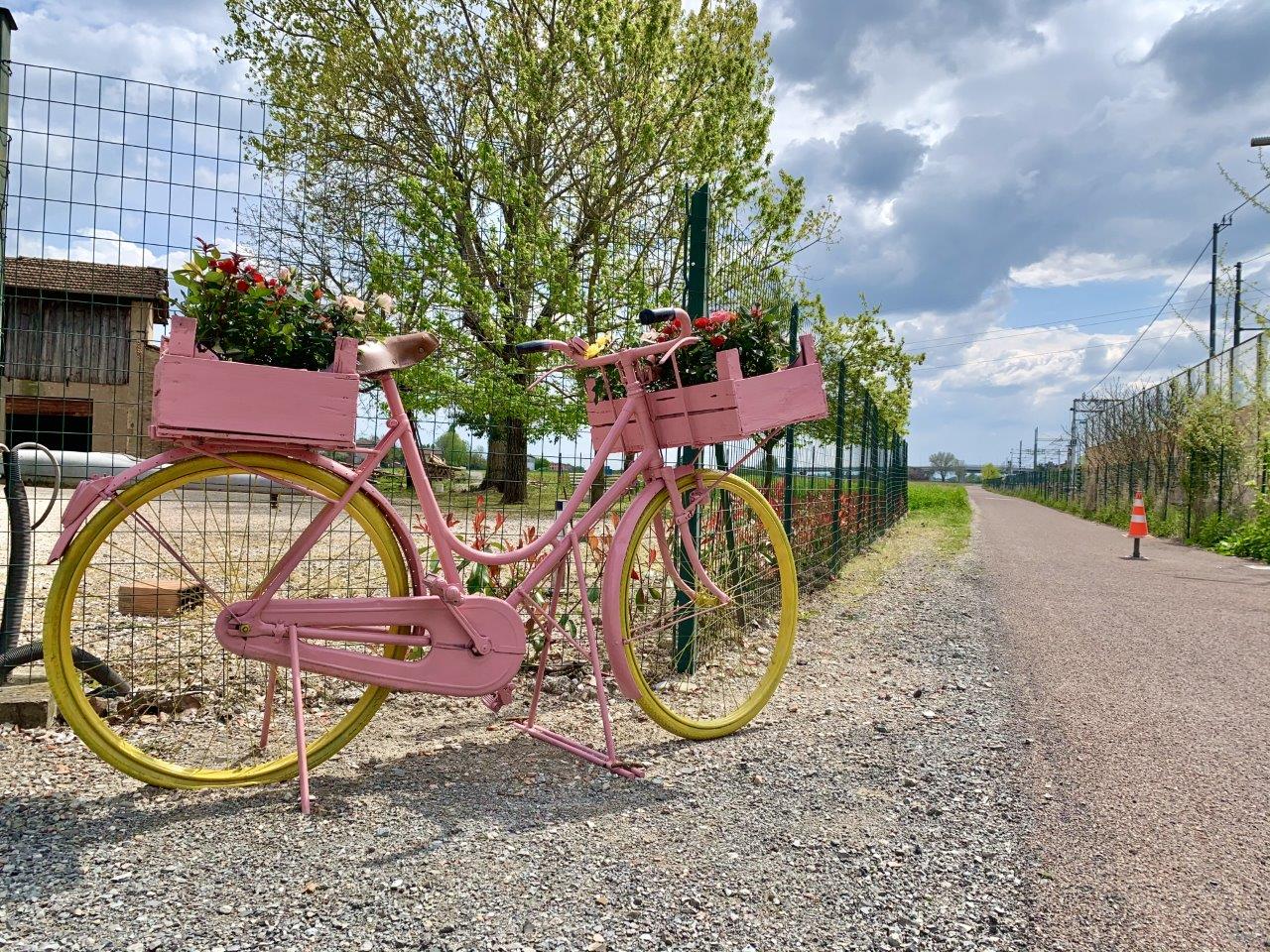 Bici rosa su Ciclovia del Sole Bologna Crevalcore Mirandola