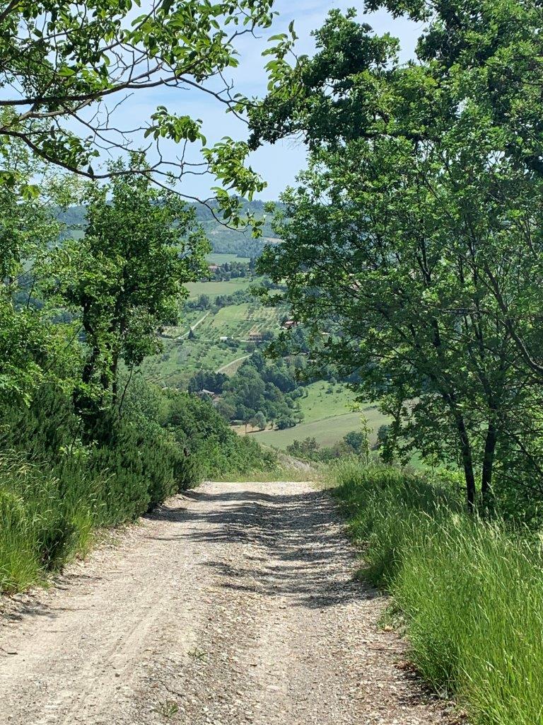 sentiero bianco gravel