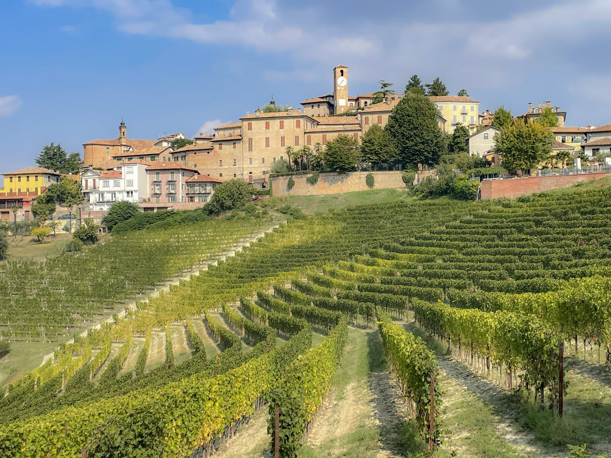 Neive Langhe Piemonte