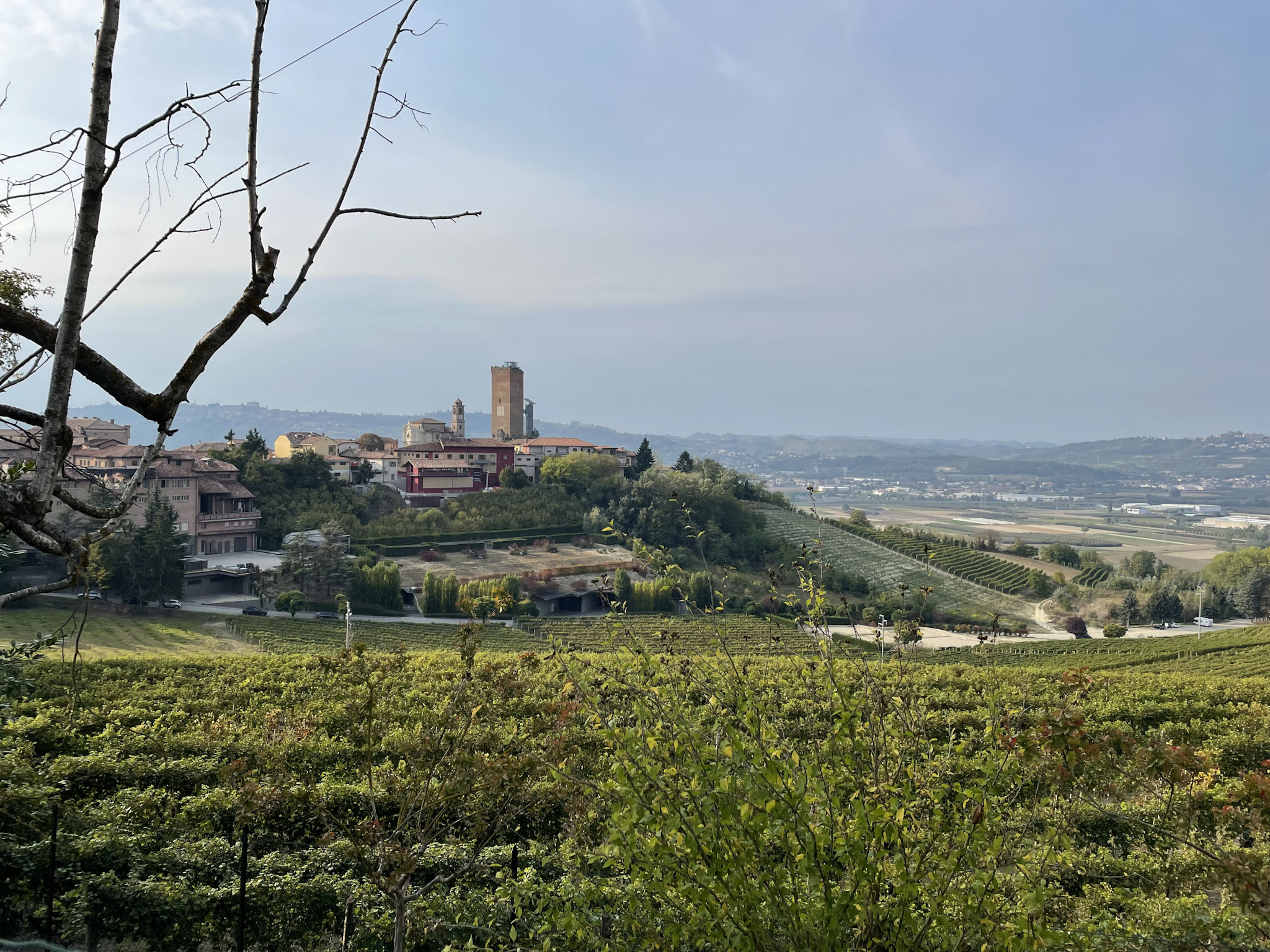 barbaresco