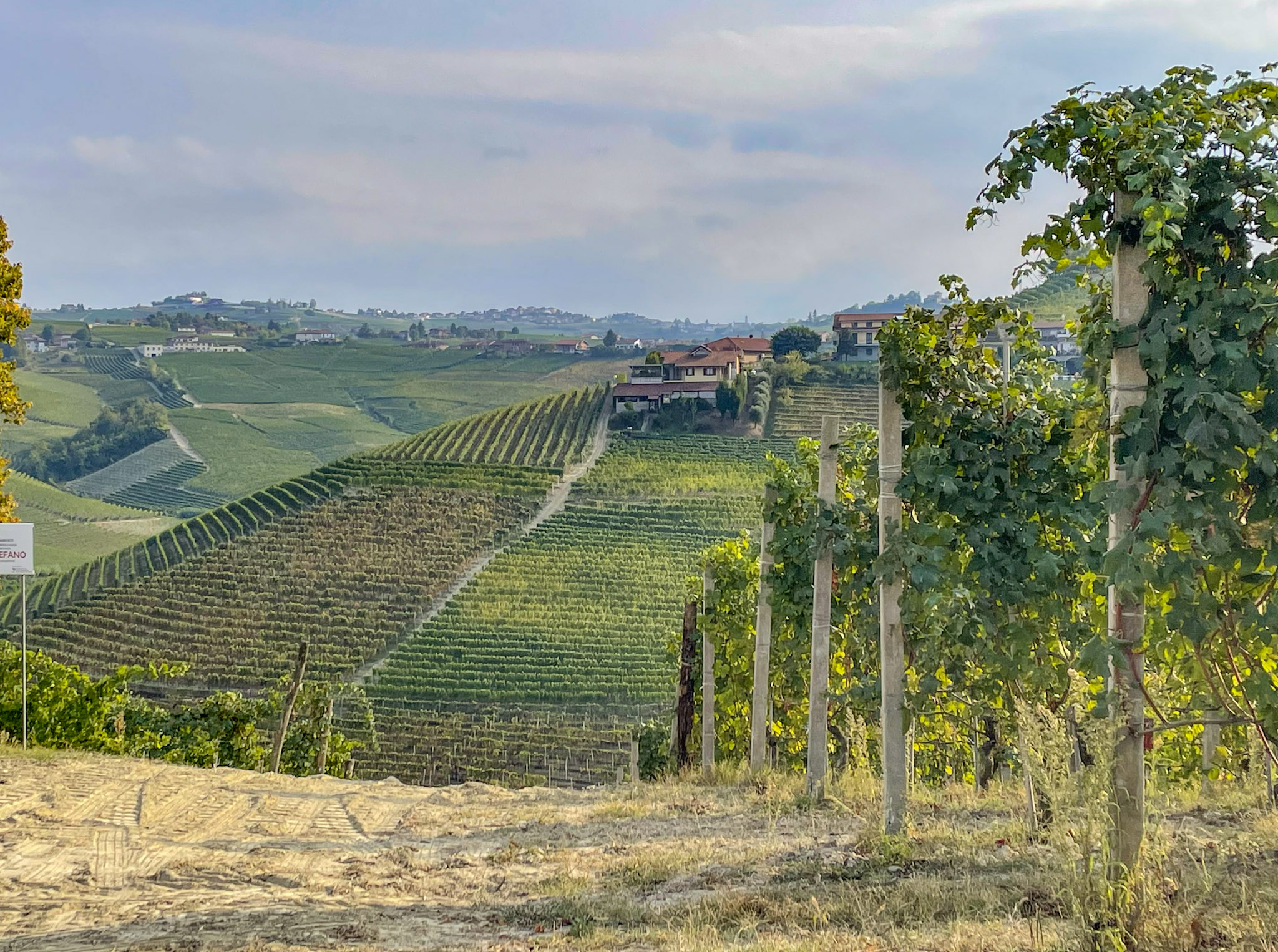 sterrato vigne langhe