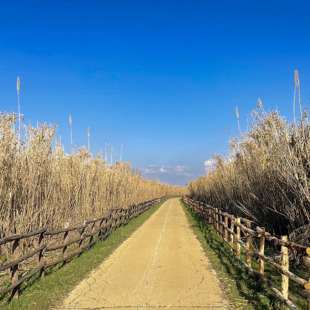 Ciclabile Roma Ostia