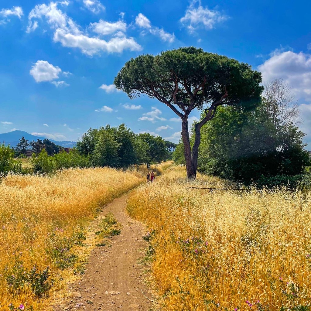 Appia Antica Sud Roma single track gravel