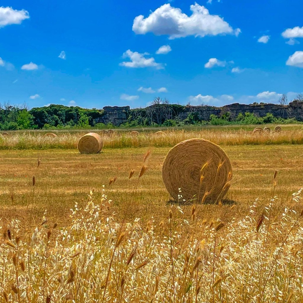 Balle di fieno al Parco degli Acqudotti romani