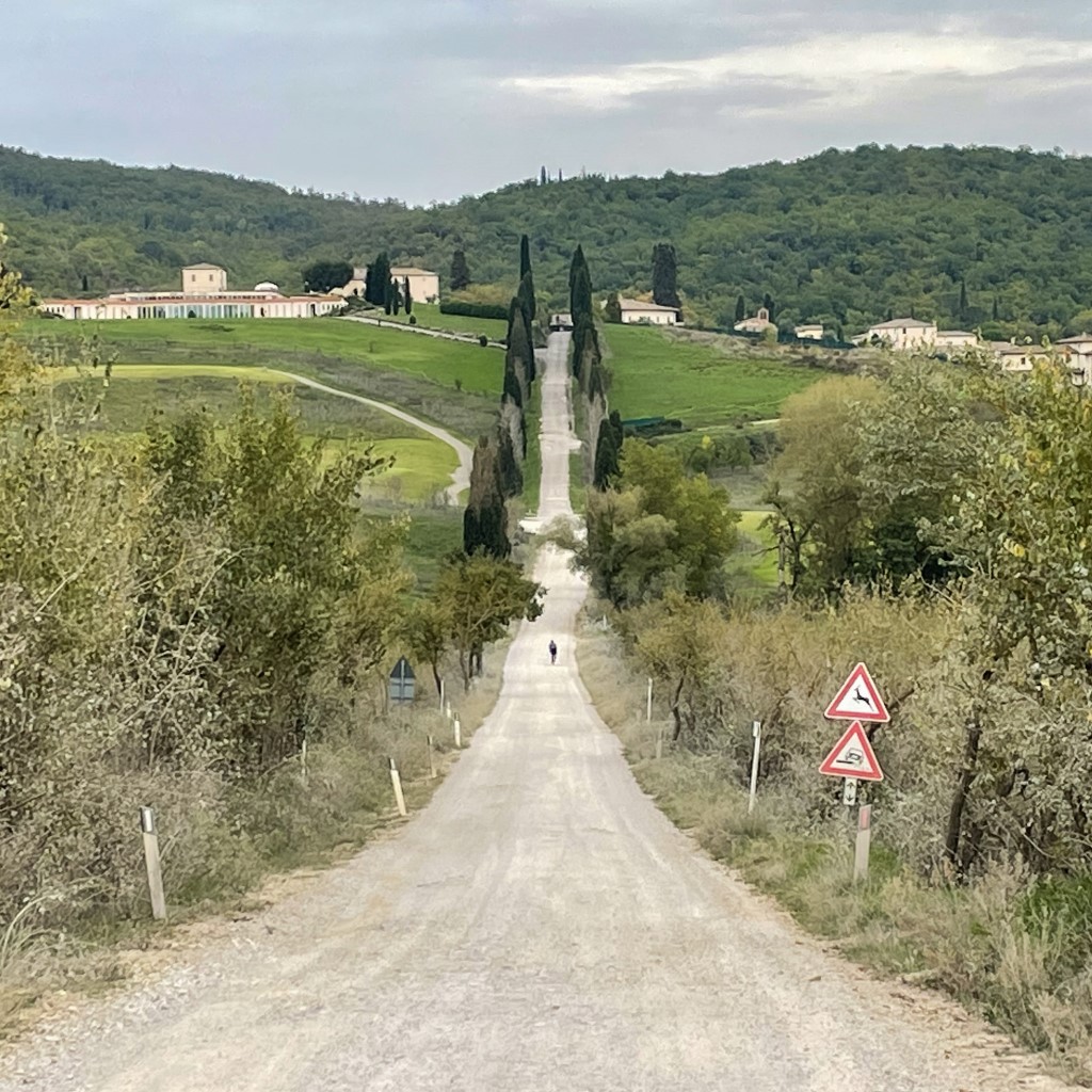 Strade Bianche Cipressi Toscana Gravel